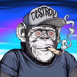 Primate Social Society #8226