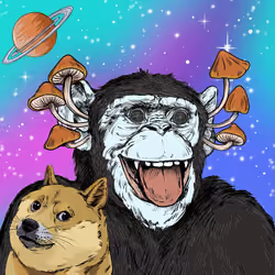 Primate Social Society #255