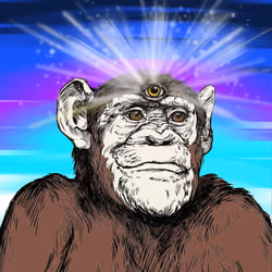 Primate Social Society #6263