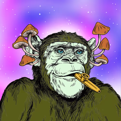 Primate Social Society Official