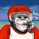 246