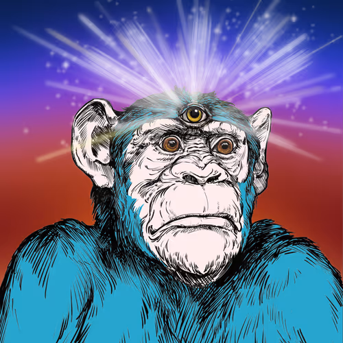 Primate Social Society Official