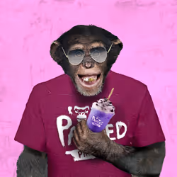252