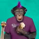 32