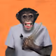 34