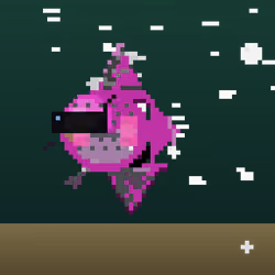 DeepFins #922