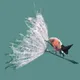 witchbug