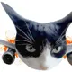 cat plane