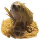 pastahog