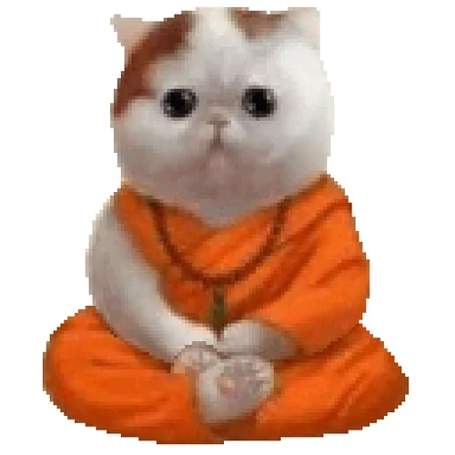 cat monk