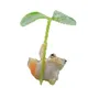 frogcopter