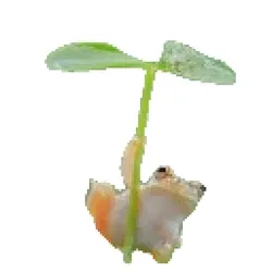 frogcopter