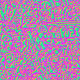 806