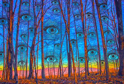 Larrycarlson