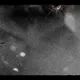 Unidentified contract - 3JfRlubP5Z