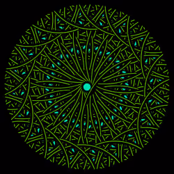 677