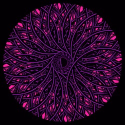 Cyclical #957