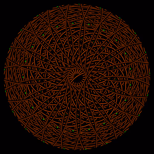 Cyclical #919