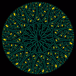 Cyclical #914