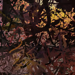 Liminals #0219 - Dazzling Disquiet