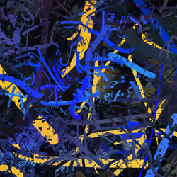 Liminals #0978 - Compass Membrane