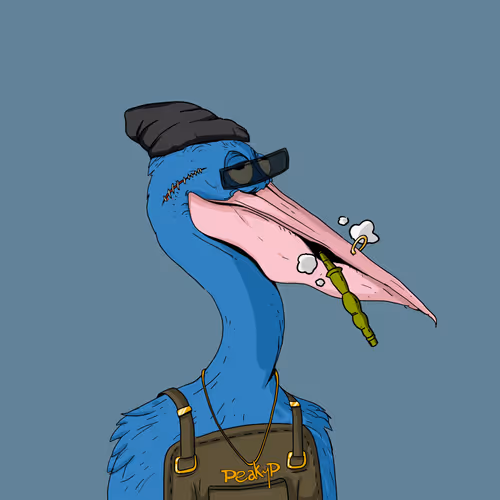 Peakypelicans