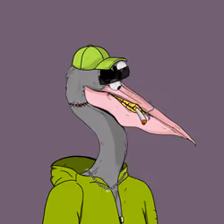 Peaky Pelicans #1648