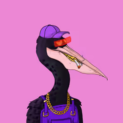 Peaky Pelicans #646