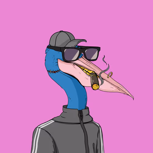 Peaky Pelicans #12