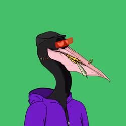 Peaky Pelicans #3300