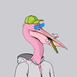 Peaky Pelicans #1328