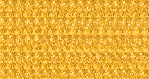 Invisible Currency - Autostereogram - FIND THE HIDDEN IMAGE!