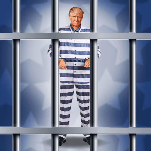 Trump Criminal Digital Cards