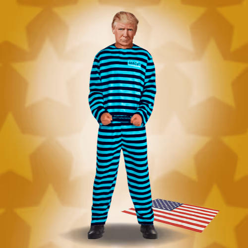 Trump Criminal Digital Cards