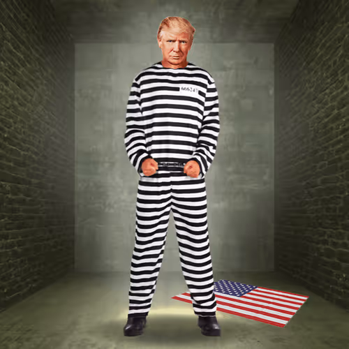 Trump Criminal Digital Cards
