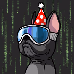 41