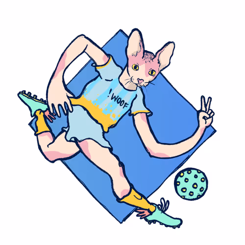Footballcritter