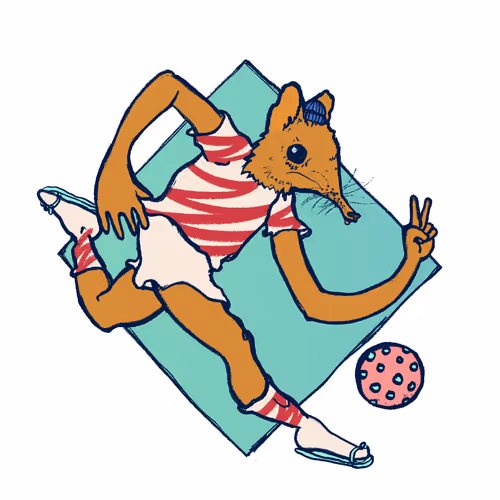 Footballcritter