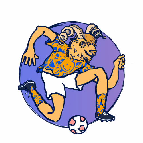 Footballcritter