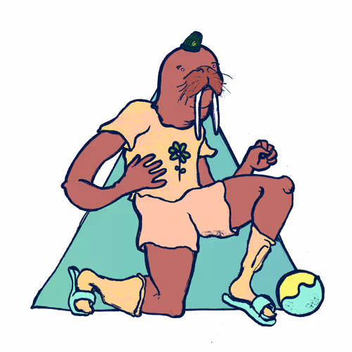 Footballcritter