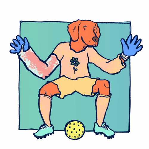 Footballcritter