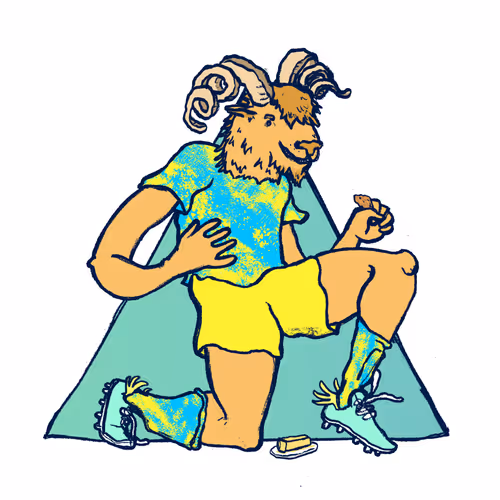 Footballcritter