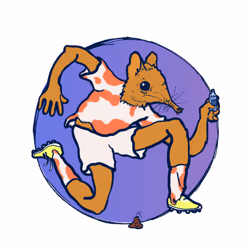 Footballcritter