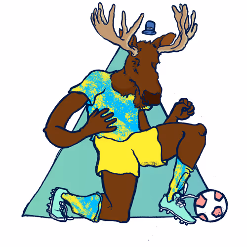 Footballcritter