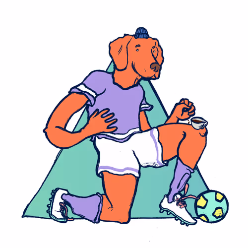 Footballcritter
