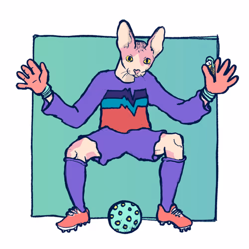 Footballcritter