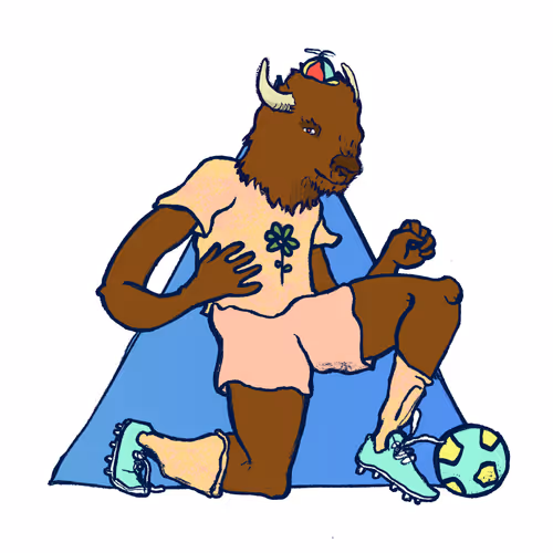 Footballcritter