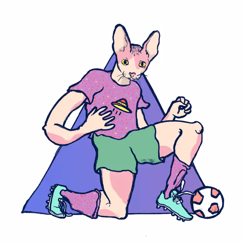 Footballcritter