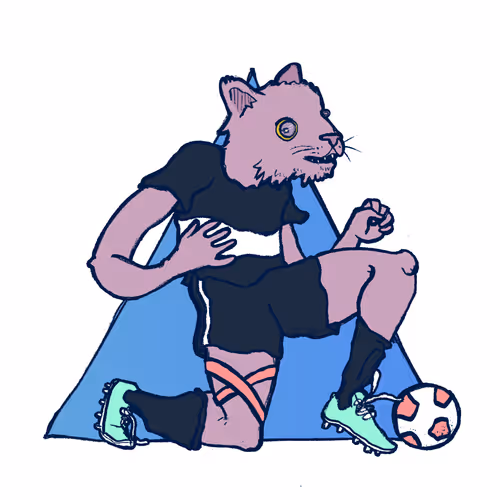 Footballcritter