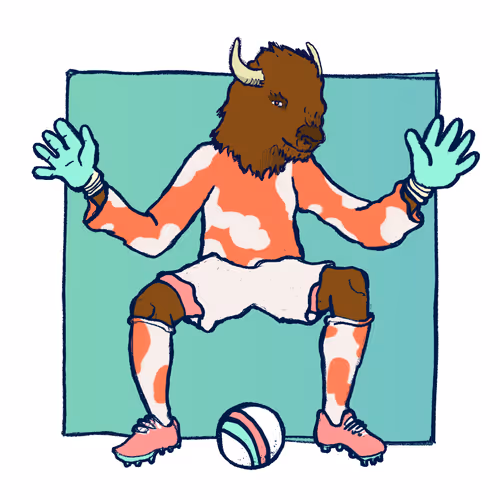 Footballcritter